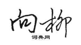 駱恆光向柳行書個性簽名怎么寫