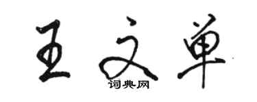 駱恆光王文單行書個性簽名怎么寫