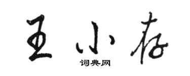 駱恆光王小存行書個性簽名怎么寫