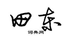朱錫榮田東草書個性簽名怎么寫