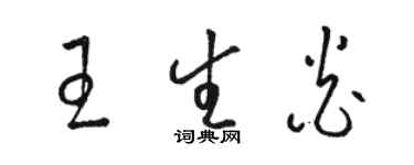 駱恆光王生炎草書個性簽名怎么寫