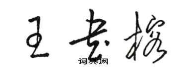 駱恆光王書榕草書個性簽名怎么寫