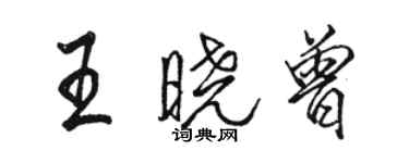 駱恆光王曉曾行書個性簽名怎么寫