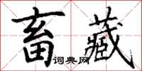 丁謙畜藏楷書怎么寫