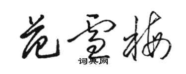 駱恆光范雪梅草書個性簽名怎么寫