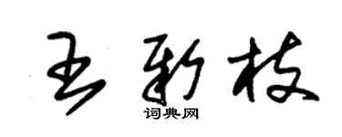 朱錫榮王新枝草書個性簽名怎么寫