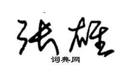 朱錫榮張雄草書個性簽名怎么寫