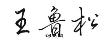 駱恆光王魯松行書個性簽名怎么寫