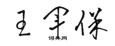 駱恆光王軍保草書個性簽名怎么寫