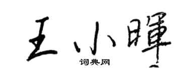 王正良王小暉行書個性簽名怎么寫