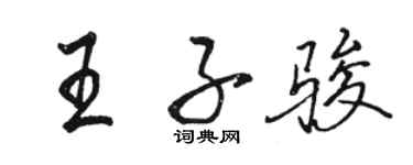 駱恆光王子駿行書個性簽名怎么寫