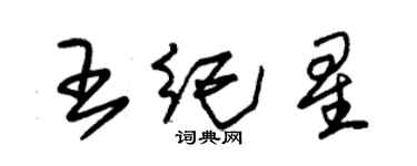 朱錫榮王紀星草書個性簽名怎么寫