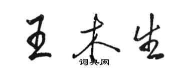 駱恆光王木生行書個性簽名怎么寫