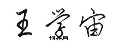 駱恆光王學宙行書個性簽名怎么寫