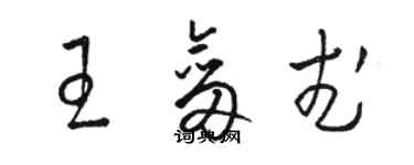 駱恆光王劍武草書個性簽名怎么寫