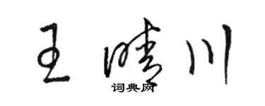 駱恆光王晴川草書個性簽名怎么寫