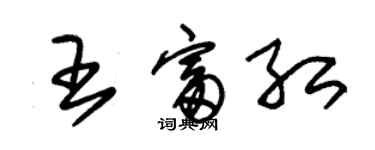 朱錫榮王富紅草書個性簽名怎么寫