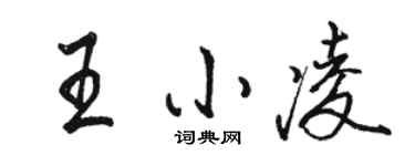 駱恆光王小凌行書個性簽名怎么寫
