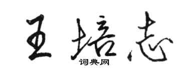 駱恆光王培志行書個性簽名怎么寫