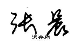 朱錫榮張晨草書個性簽名怎么寫