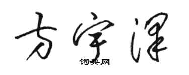 駱恆光方宇澤草書個性簽名怎么寫