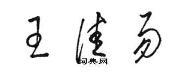 駱恆光王佳易草書個性簽名怎么寫