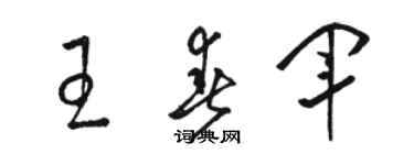 駱恆光王春軍草書個性簽名怎么寫