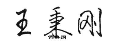 駱恆光王秉剛行書個性簽名怎么寫