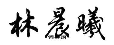 胡問遂林晨曦行書個性簽名怎么寫