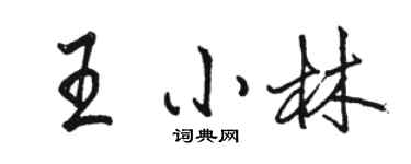 駱恆光王小林行書個性簽名怎么寫