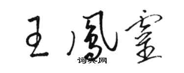 駱恆光王鳳靈草書個性簽名怎么寫