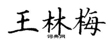 丁謙王林梅楷書個性簽名怎么寫