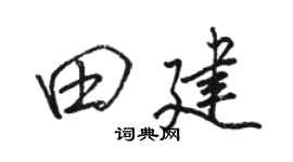 駱恆光田建行書個性簽名怎么寫