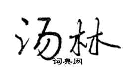 曾慶福湯林行書個性簽名怎么寫