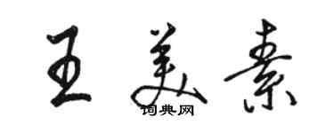 駱恆光王美素行書個性簽名怎么寫