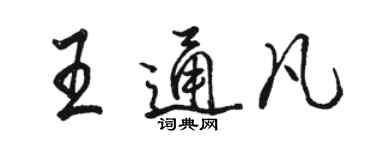 駱恆光王通凡行書個性簽名怎么寫