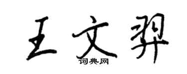 王正良王文羿行書個性簽名怎么寫