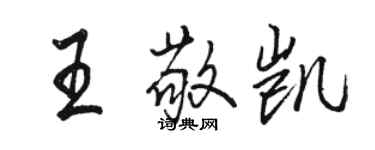 駱恆光王敬凱行書個性簽名怎么寫