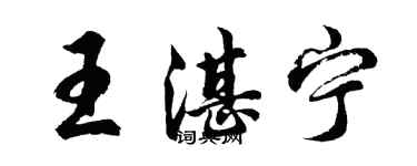 胡問遂王湛寧行書個性簽名怎么寫