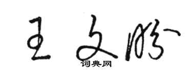 駱恆光王文盼草書個性簽名怎么寫