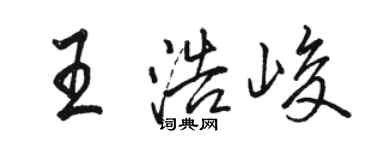 駱恆光王浩峻行書個性簽名怎么寫