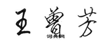 駱恆光王曾芳行書個性簽名怎么寫