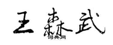 曾慶福王森武行書個性簽名怎么寫