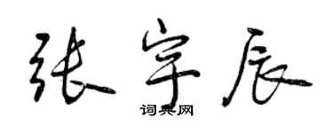 曾慶福張宇辰行書個性簽名怎么寫