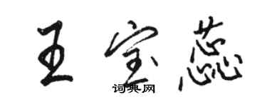 駱恆光王寶蕊行書個性簽名怎么寫