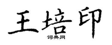 丁謙王培印楷書個性簽名怎么寫
