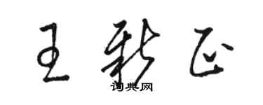 駱恆光王新正草書個性簽名怎么寫