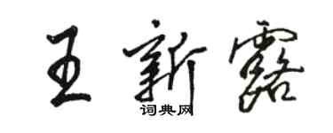 駱恆光王新露行書個性簽名怎么寫