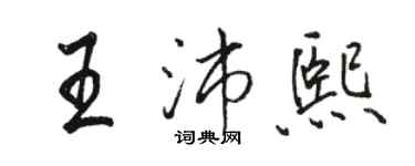 駱恆光王沛熙行書個性簽名怎么寫