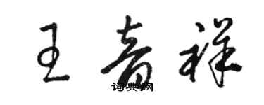 駱恆光王音祥草書個性簽名怎么寫